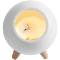 картинка Беспроводная лампа-колонка Right Meow от магазина PapriQ