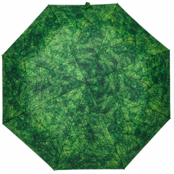 картинка Зонт складной Evergreen от магазина PapriQ